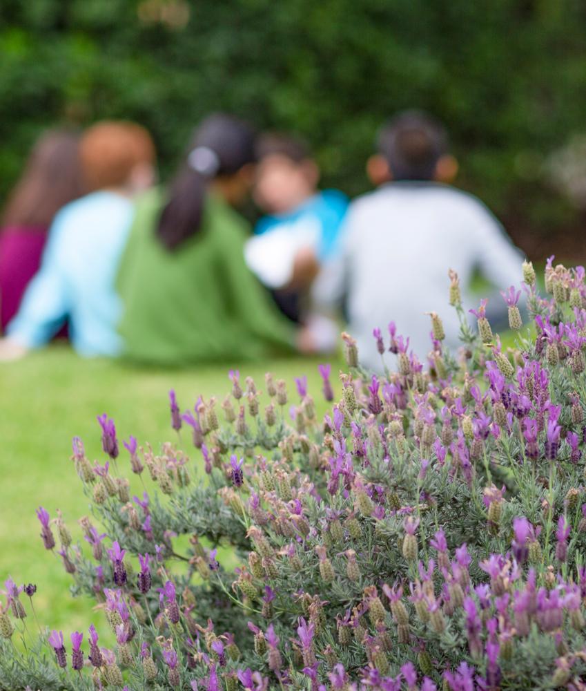 An image of a group of young children sitting together on a grassy hill. A bush with purple flowers sits in the forefront of the image with the flowers in focus. 